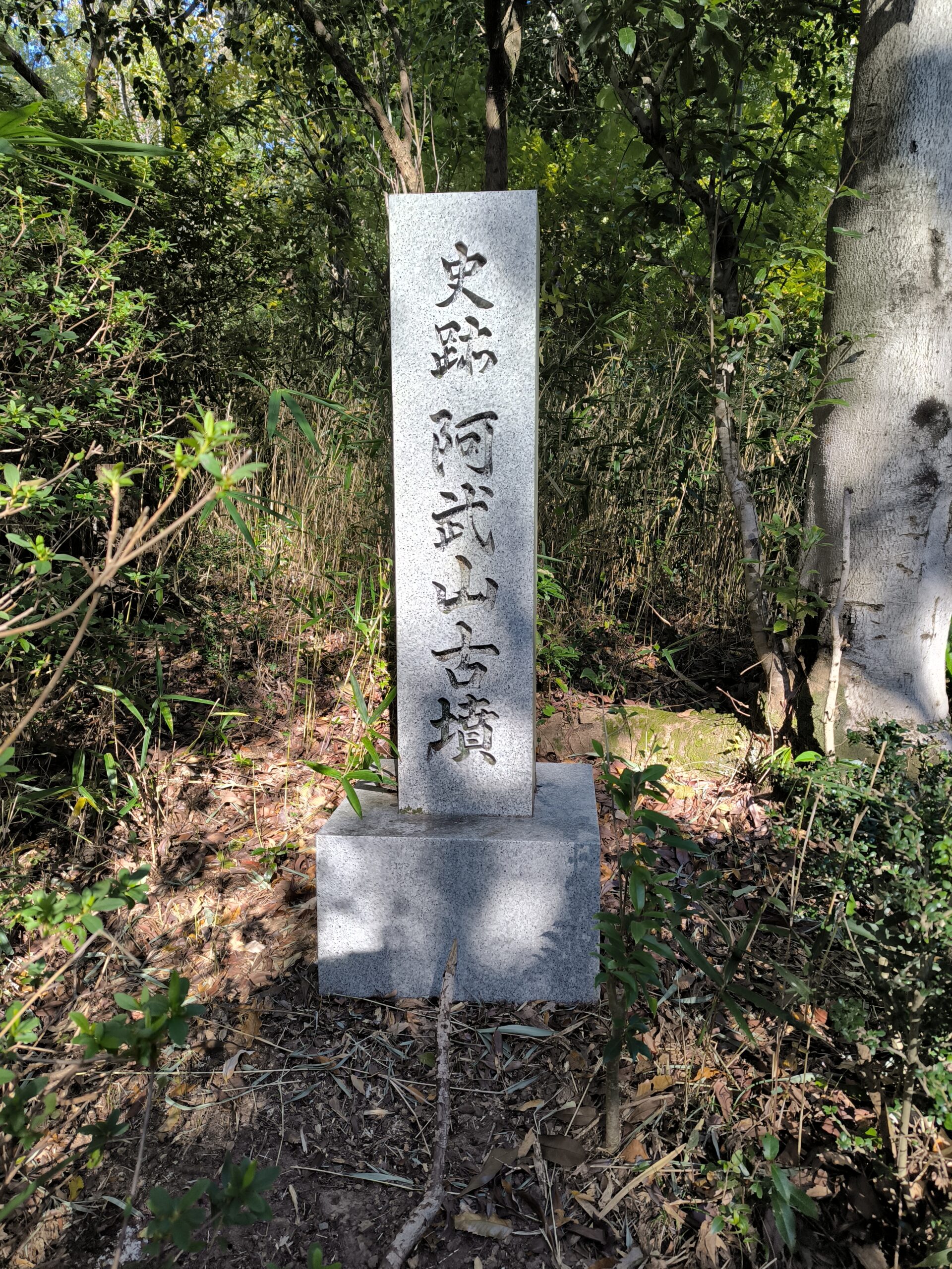 阿武山古墳